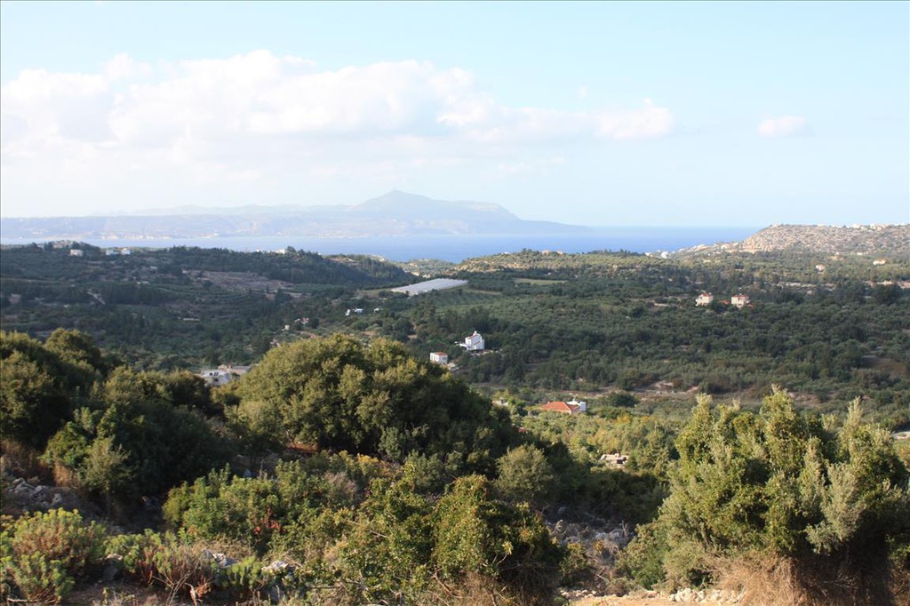 Οικόπεδο 11.842 τ.μ. προς πώληση, Κέντρο Βάμου