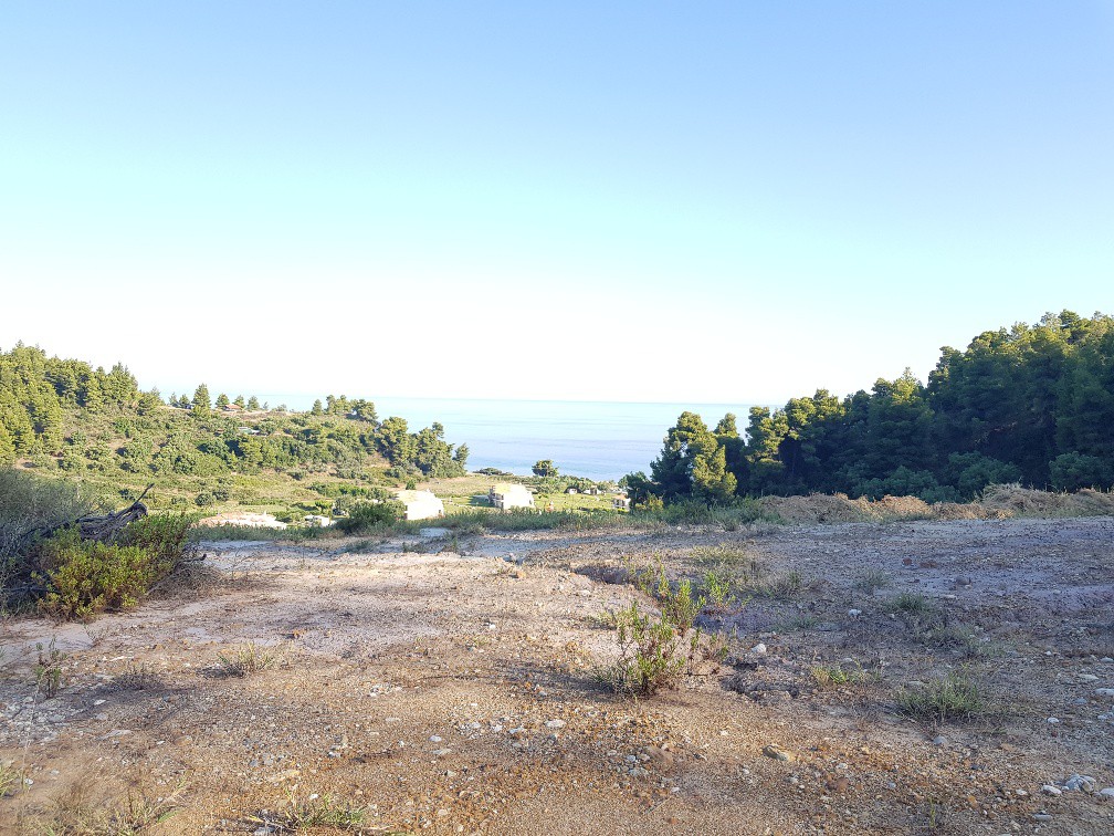 Οικόπεδο 4.300 τ.μ. προς πώληση, Νέα Σκιώνη