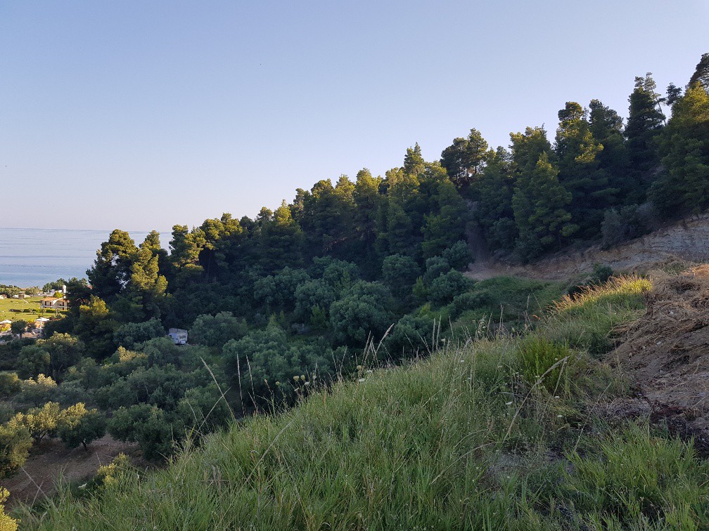 Οικόπεδο 4.300 τ.μ. προς πώληση, Νέα Σκιώνη