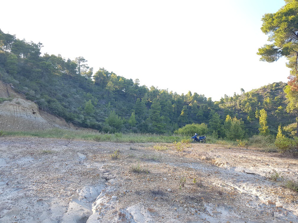 Οικόπεδο 4.300 τ.μ. προς πώληση, Νέα Σκιώνη