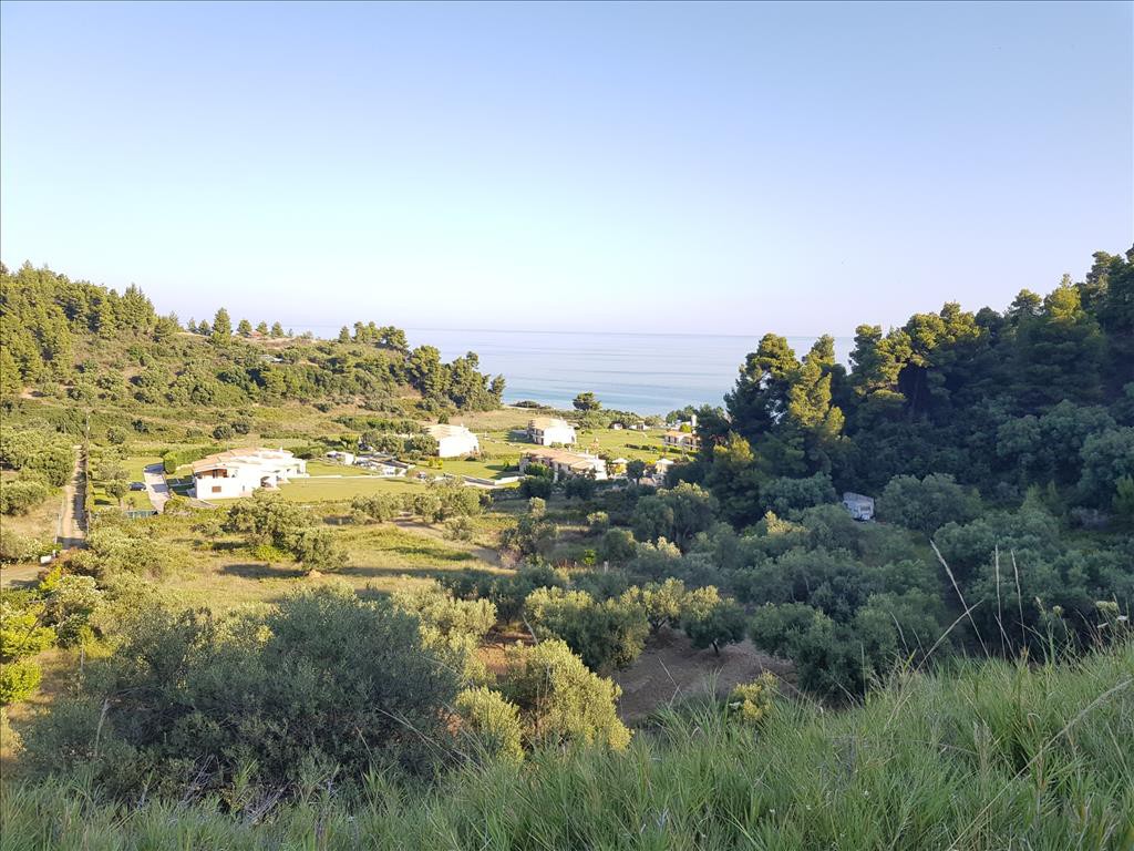 Οικόπεδο 4.300 τ.μ. προς πώληση, Νέα Σκιώνη