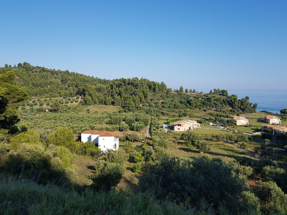 Οικόπεδο 4.300 τ.μ. προς πώληση, Νέα Σκιώνη