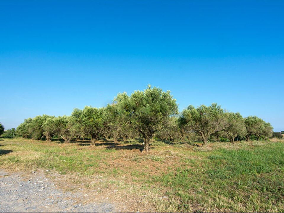 Μονοκατοικία 199 τ.μ. προς πώληση, Κέντρο Επανομής
