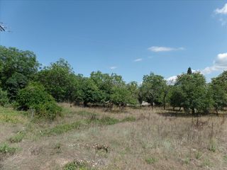 Οικόπεδο 4.000 τ.μ. για πώληση