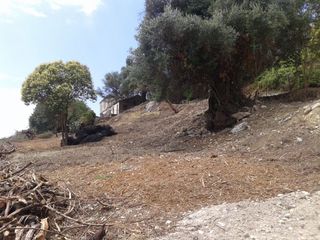 Οικόπεδο 2.250 τ.μ. για πώληση