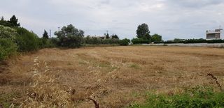 Οικόπεδο 4.800 τ.μ. προς πώληση