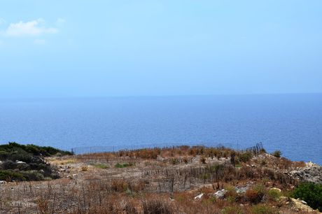 Οικόπεδο 15.000 τ.μ. πρός πώληση