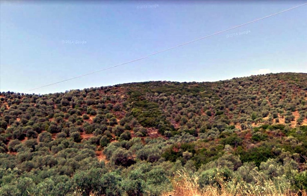 Οικόπεδο 4.765 τ.μ. προς πώληση, Πυργαδίκια