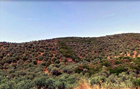 Οικόπεδο 4.765 τ.μ. προς πώληση