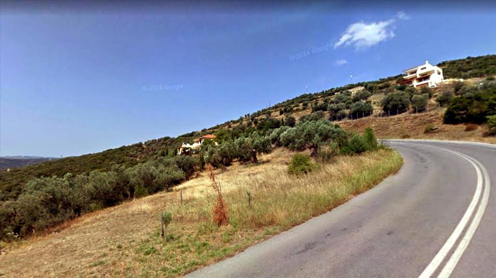 Οικόπεδο 15.000 τ.μ. προς πώληση, Πυργαδίκια