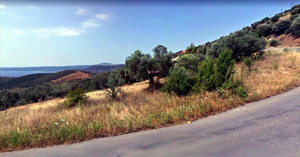 Οικόπεδο 15.000 τ.μ. προς πώληση, Πυργαδίκια