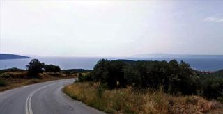 Οικόπεδο 15.000 τ.μ. προς πώληση