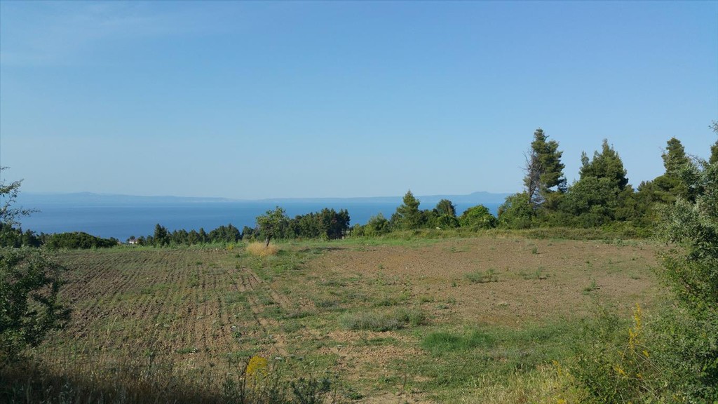 Οικόπεδο 14.625 τ.μ. προς πώληση, Καλογερικό Παλλήνης
