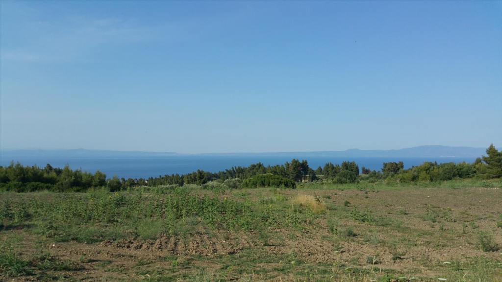 Οικόπεδο 14.625 τ.μ. προς πώληση, Καλογερικό Παλλήνης