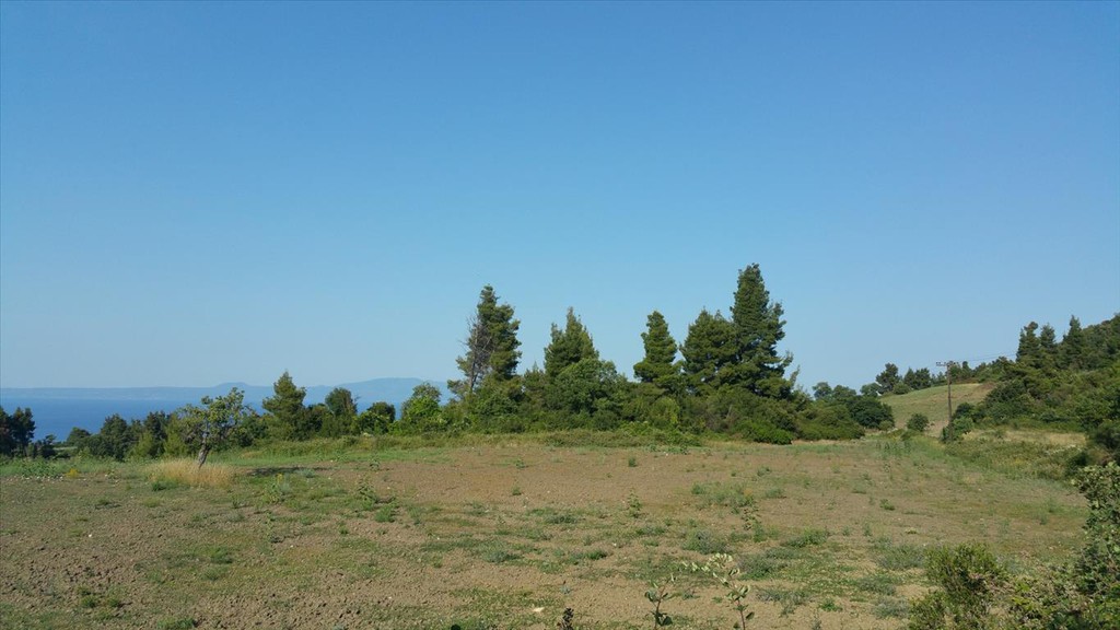 Οικόπεδο 14.625 τ.μ. προς πώληση, Καλογερικό Παλλήνης