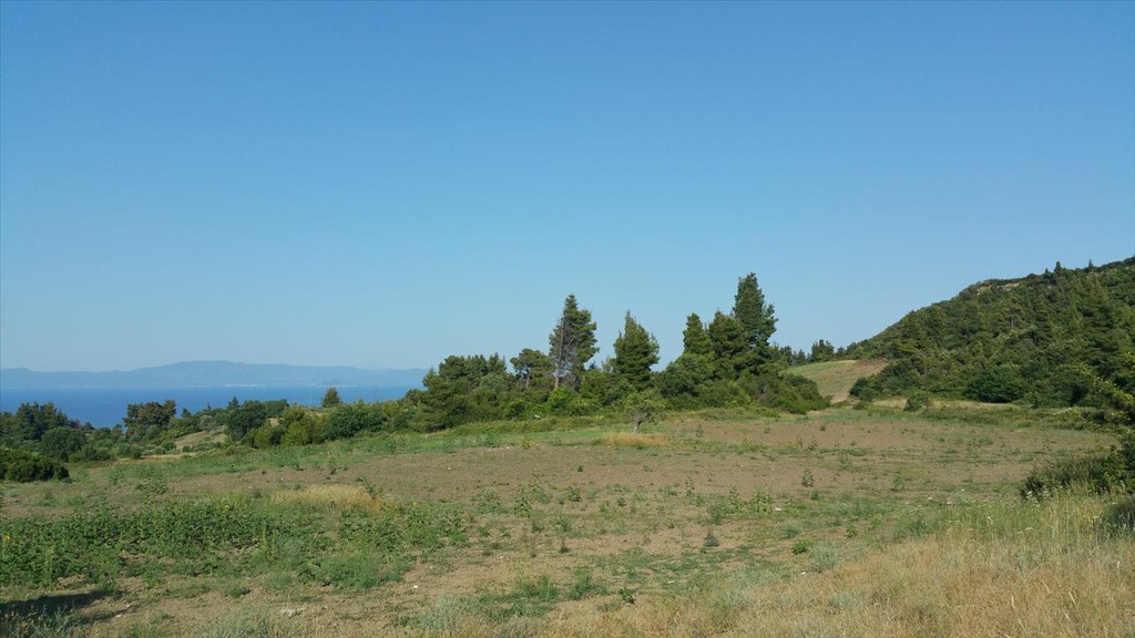 Οικόπεδο 14.625 τ.μ. προς πώληση, Καλογερικό Παλλήνης