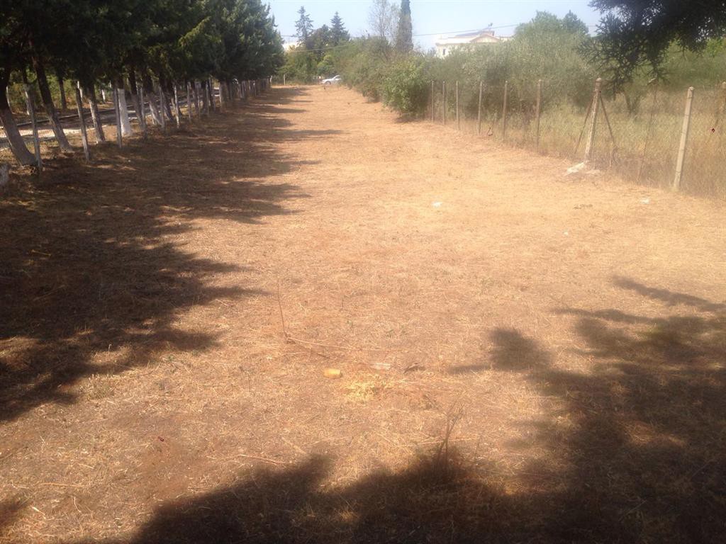 Οικόπεδο 1.000 τ.μ. προς πώληση, Θεσσαλονίκη - Περιφ/Κοί Δήμοι, Πυλαία