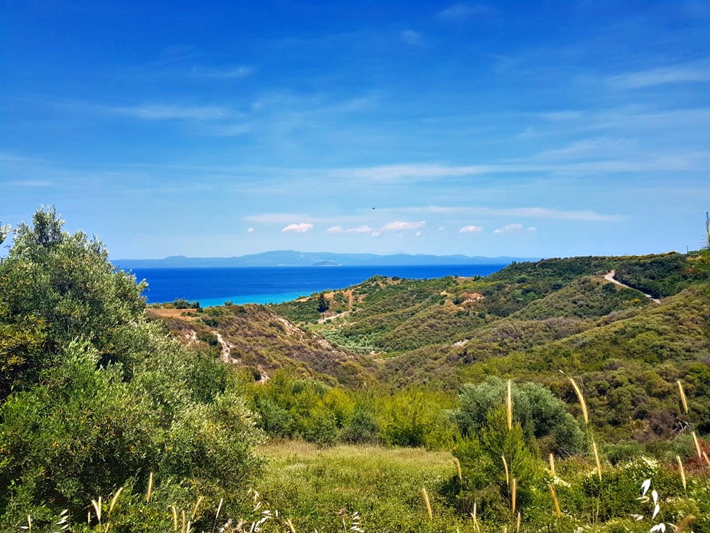 Οικόπεδο 4.000 τ.μ. προς πώληση, Πολύχρονο