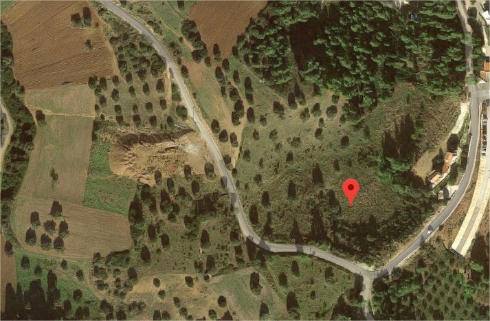 Οικόπεδο 12.300 τ.μ. προς πώληση, Παλιούρι Παλλήνης