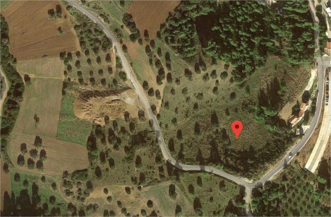 Οικόπεδο 12.300 τ.μ. για πώληση, Χαλκιδική, Παλλήνη