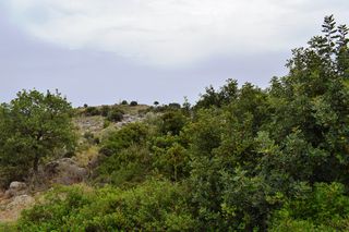 Οικόπεδο 4.000 τ.μ. για πώληση, Ν. Ρεθύμνου, Ρέθυμνο-thumb-2