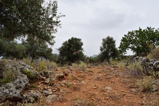 Οικόπεδο 4.000 τ.μ. για πώληση, Ν. Ρεθύμνου, Ρέθυμνο-thumb-3