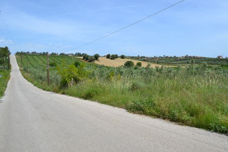 Land plot 4.600 sqm for sale