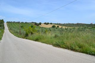 Οικόπεδο 4.600 τ.μ. για πώληση