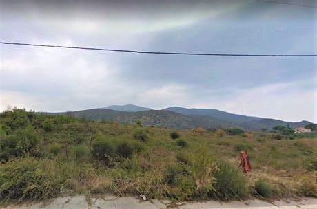 Οικόπεδο 10.000 τ.μ. για πώληση