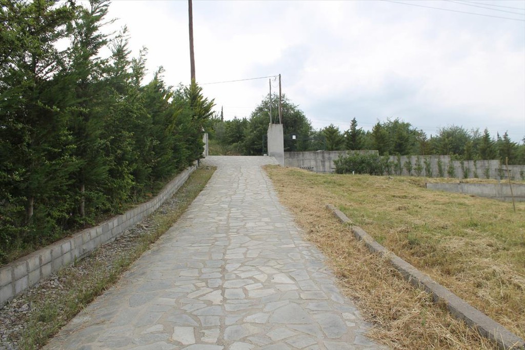 Μονοκατοικία 250 τ.μ. προς πώληση, Νέο Ρύσιο