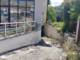 Επαγγελματικό 250 τ.μ. προς πώληση, Χανιώτης-thumb-1