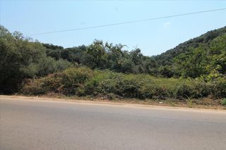 Οικόπεδο 8.000 τ.μ. για πώληση, Ν. Κέρκυρας, Κέρκυρα-thumb-2