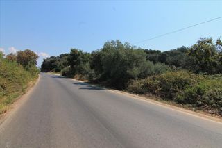 Οικόπεδο 8.000 τ.μ. για πώληση, Ν. Κέρκυρας, Κέρκυρα-thumb-1
