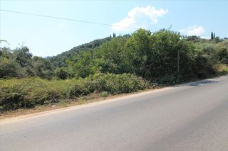 Οικόπεδο 8.000 τ.μ. για πώληση, Ν. Κέρκυρας, Κέρκυρα-thumb-3