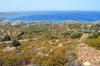 Οικόπεδο 9.000 τ.μ. για πώληση