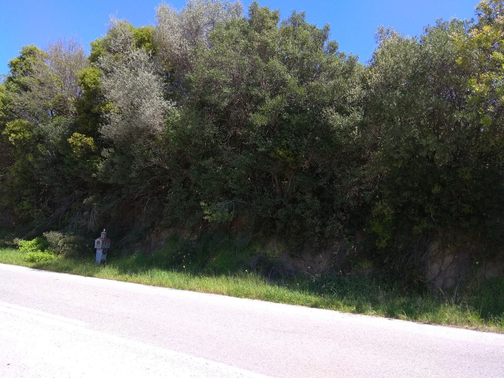 Οικόπεδο 3.000 τ.μ. προς πώληση, Κρυονέρι Χαλκιδικής