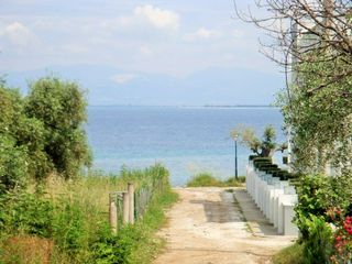 Οικόπεδο 1.000 τ.μ. για πώληση