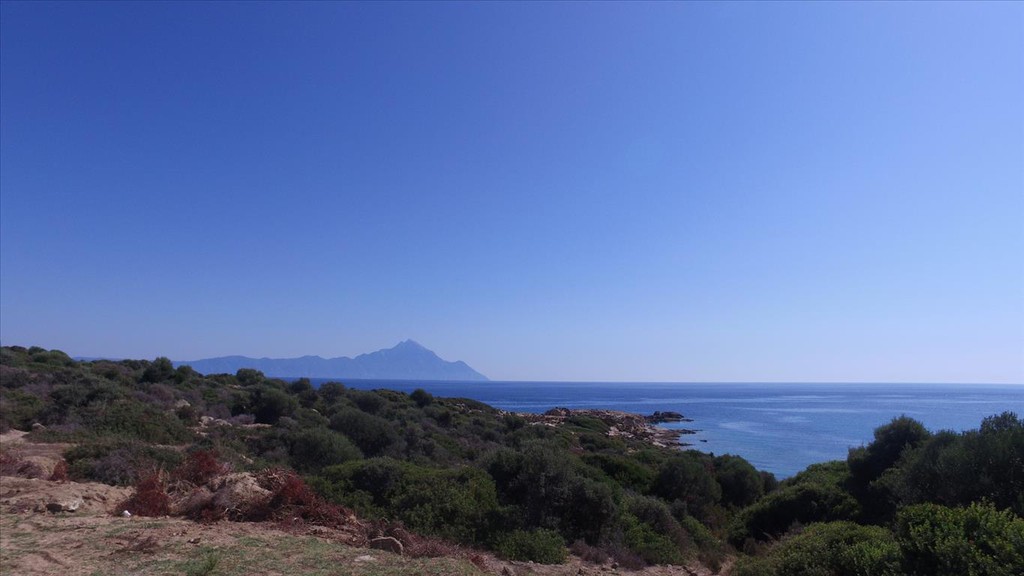 Οικόπεδο 500 τ.μ. προς πώληση, Σκάλα Συκέας