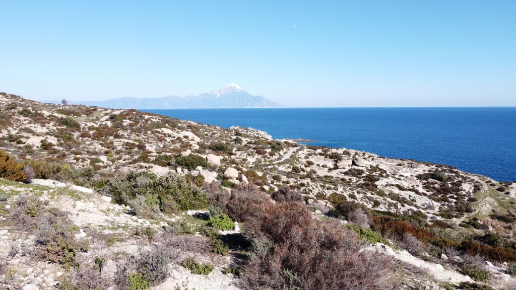 Οικόπεδο 500 τ.μ. προς πώληση, Σκάλα Συκέας