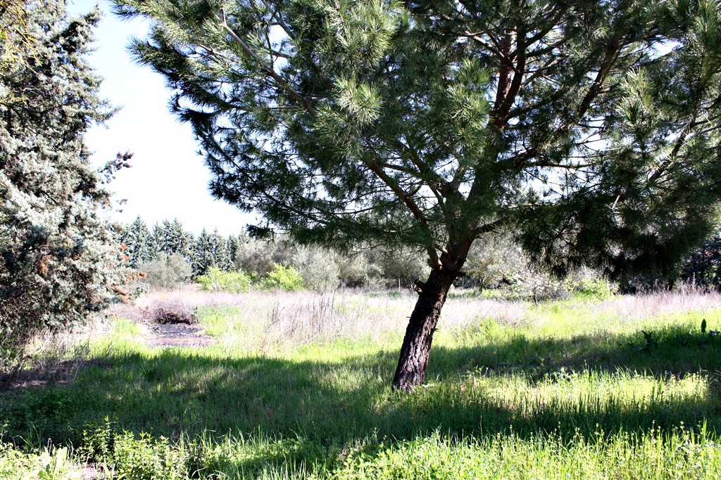 Βίλλα 320 τ.μ. πρός πώληση, Θεσσαλονίκη - Περιφ/Κοί Δήμοι, Θέρμη