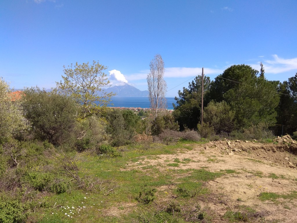 Οικόπεδο 10.000 τ.μ. προς πώληση, Παλιά Σπίτια