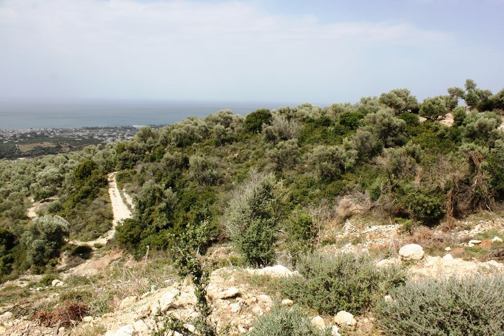 Οικόπεδο 27.000 τ.μ. πρός πώληση, Ν. Ρεθύμνου, Ρέθυμνο