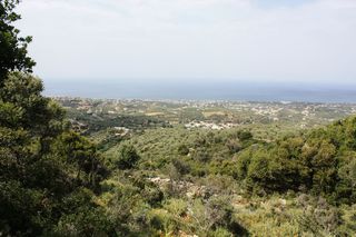 Οικόπεδο 27.000 τ.μ. για πώληση