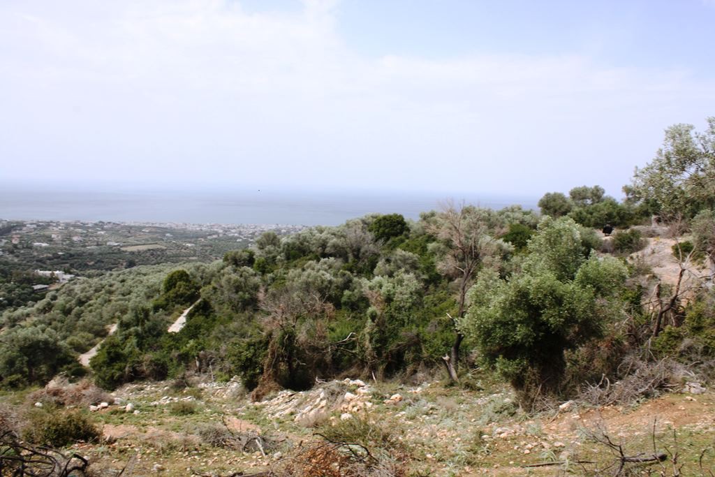 Οικόπεδο 27.000 τ.μ. πρός πώληση, Ν. Ρεθύμνου, Ρέθυμνο