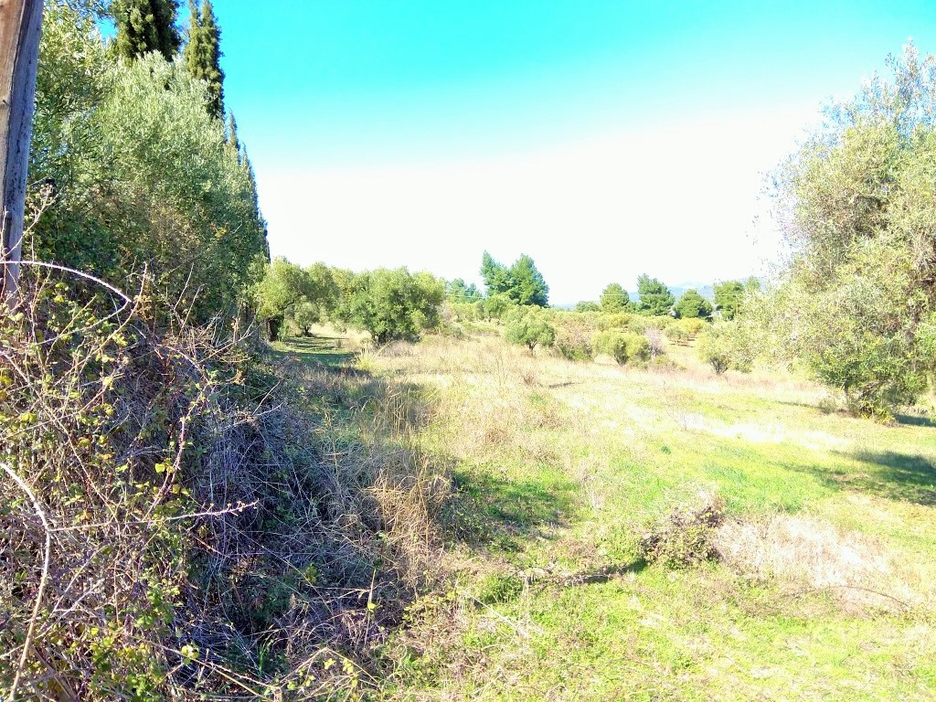 Οικόπεδο 5.200 τ.μ. προς πώληση, Νικήτη
