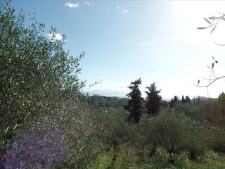 Οικόπεδο 4.900 τ.μ. για πώληση