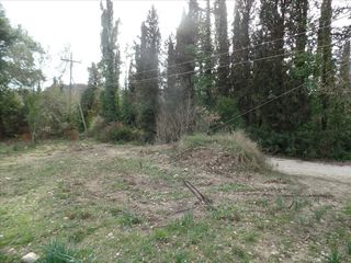 Οικόπεδο 35.000 τ.μ. για πώληση