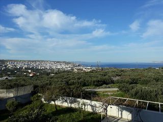 Μονοκατοικία 378 τ.μ. για πώληση