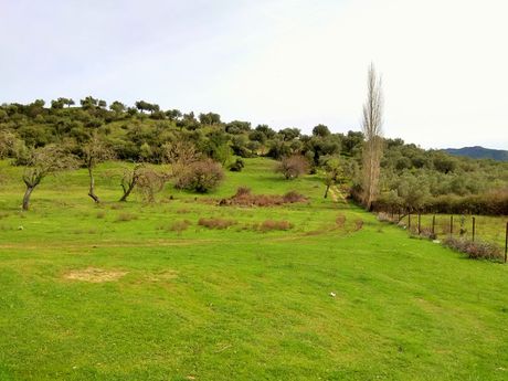 Land plot 3.300 sqm for sale