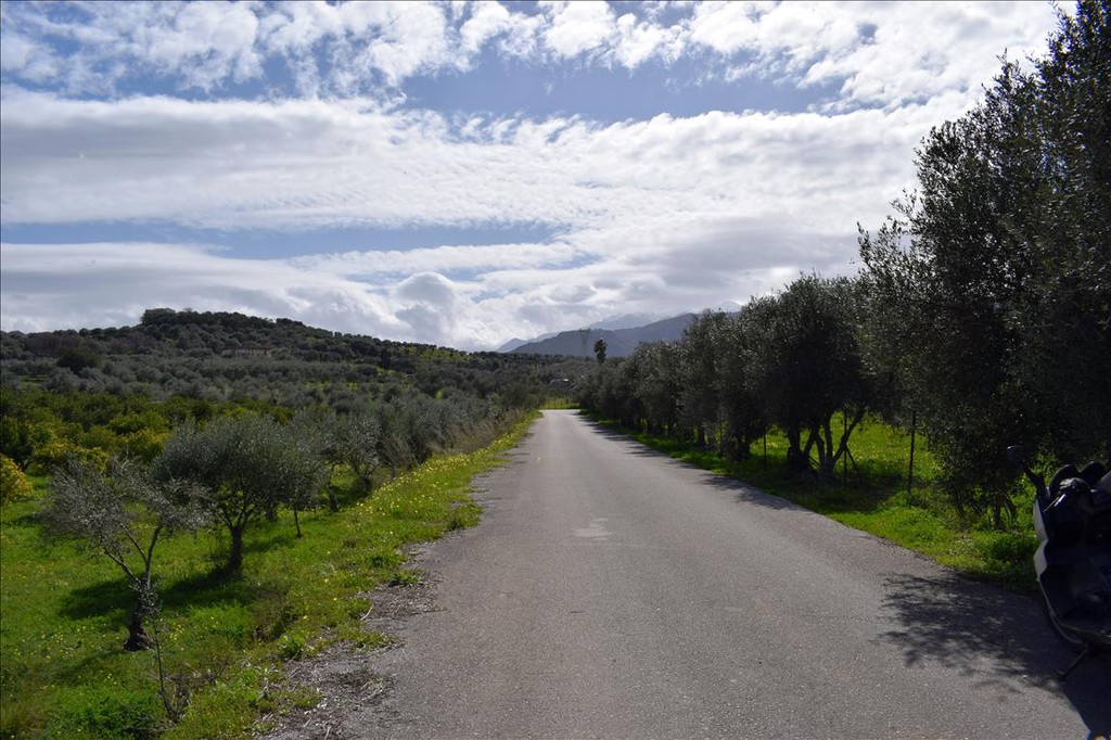 Οικόπεδο 11.000 τ.μ. προς πώληση, Λυγιδές